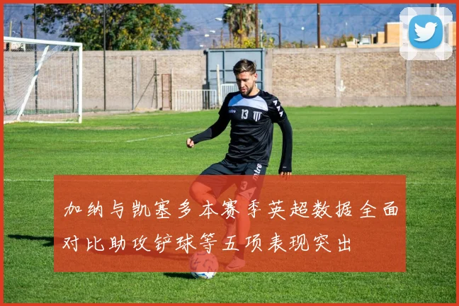 加纳与凯塞多本赛季英超数据全面对比助攻铲球等五项表现突出